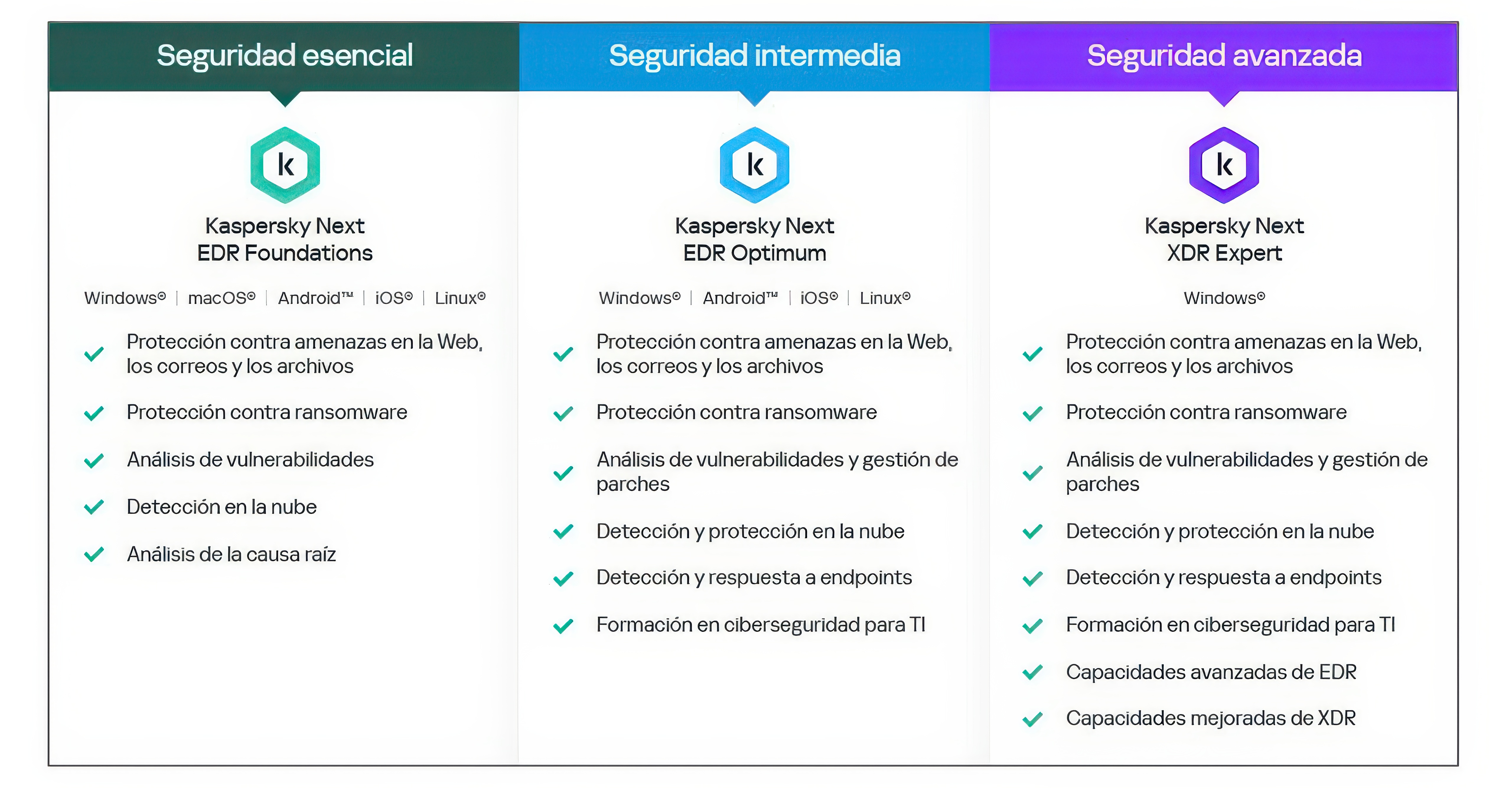 Imagen de Kaspersky Next EDR